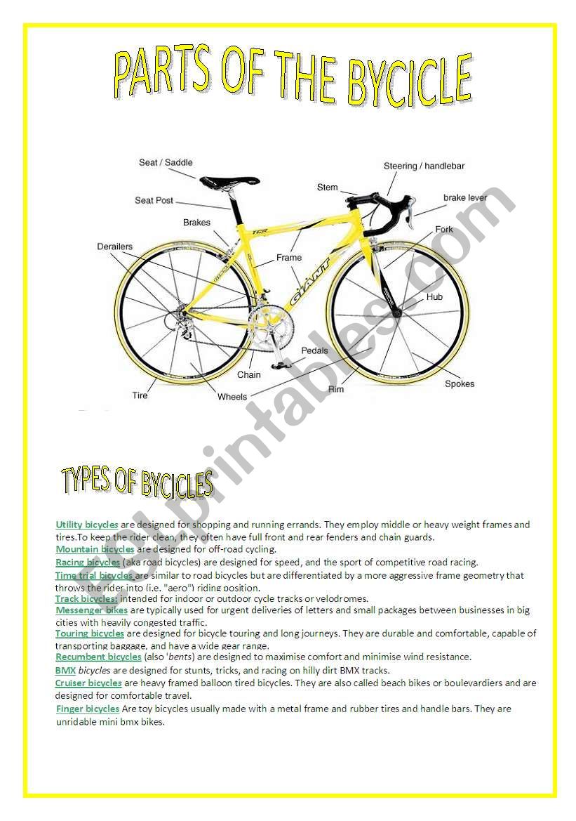 PARTS OF THE BYCICLE worksheet