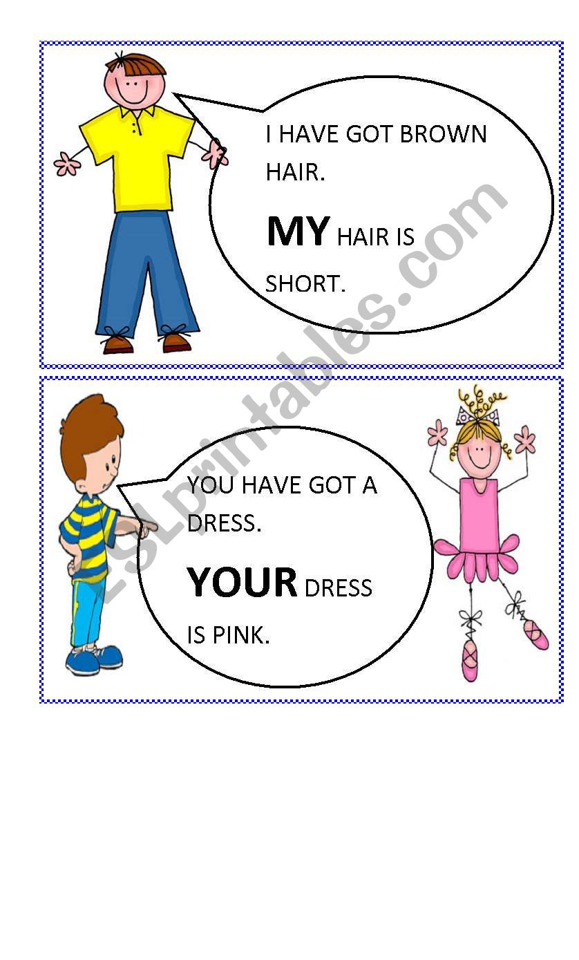 possessive adjectives flashcards 1