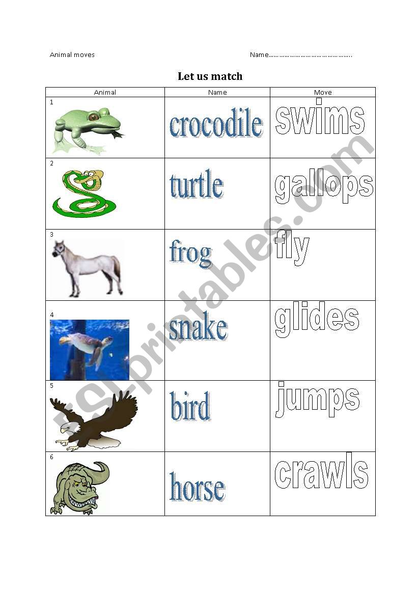 Animals and movement worksheet