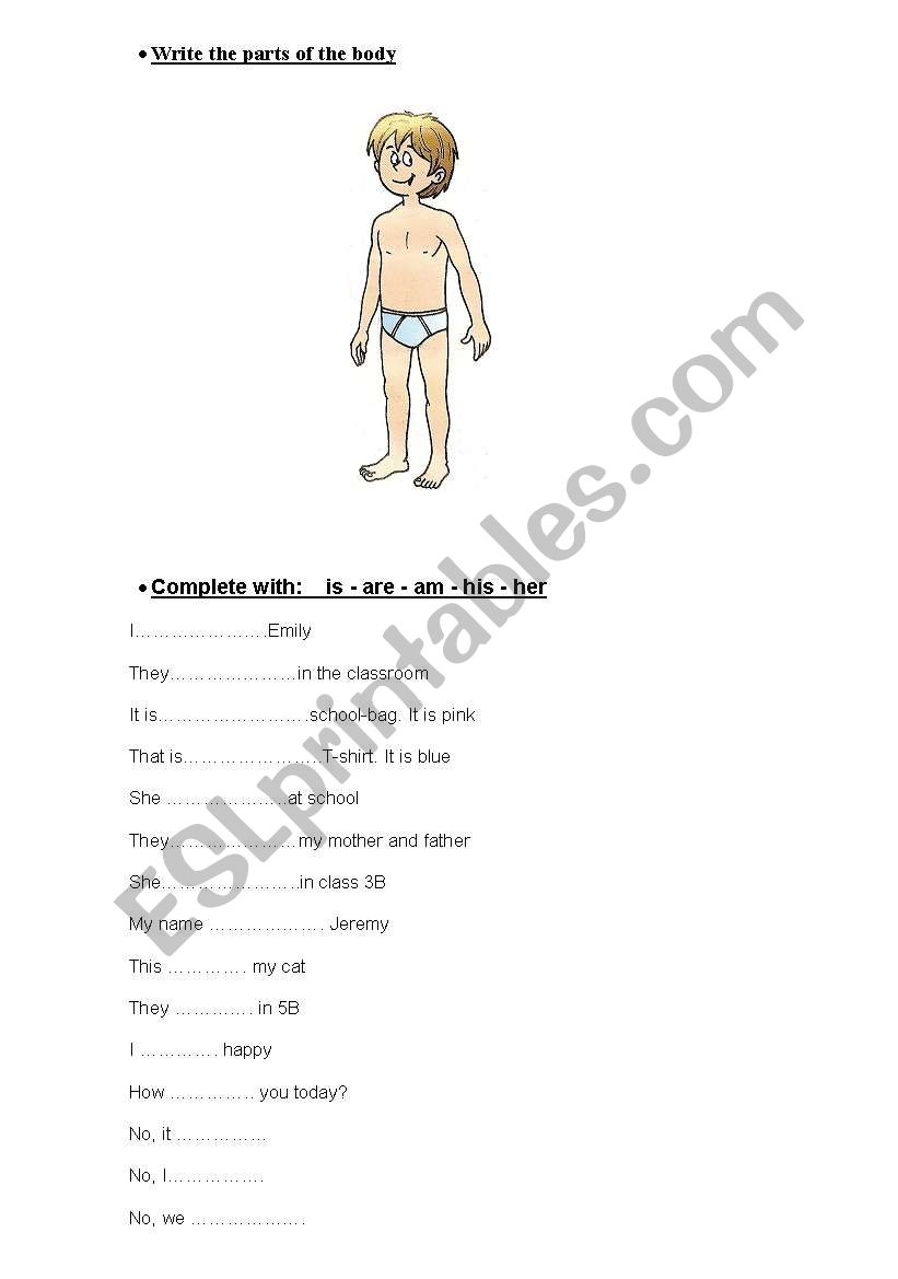 Vocabular worksheet