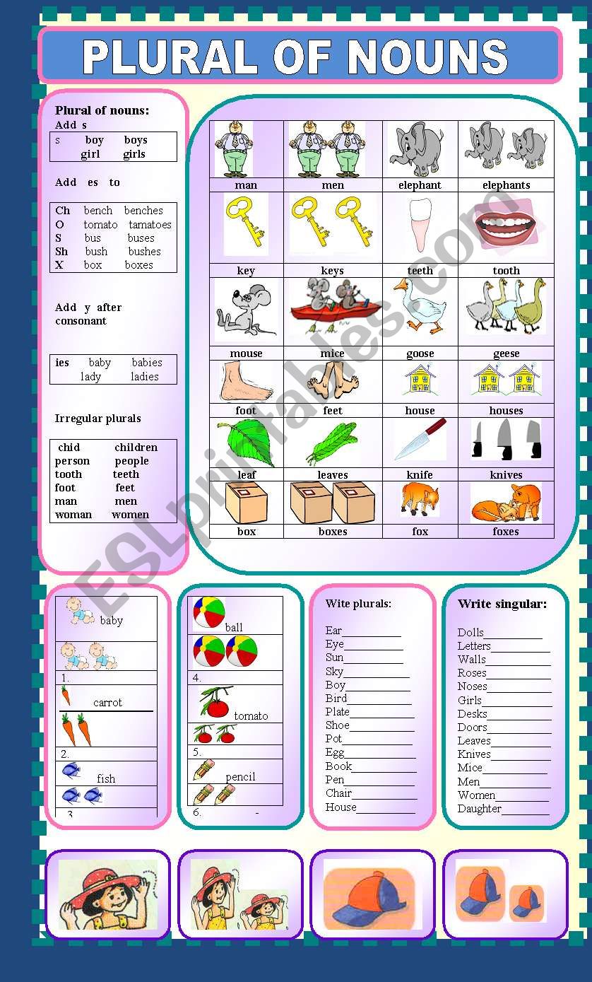Plural of nouns worksheet