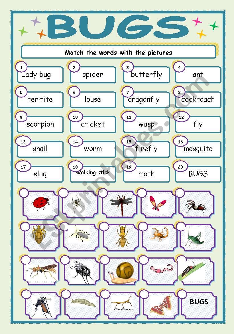 BUGS worksheet