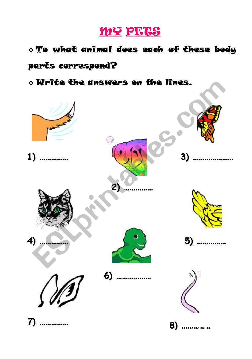 My Pets worksheet