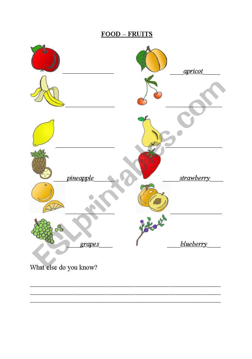 FRUITS worksheet