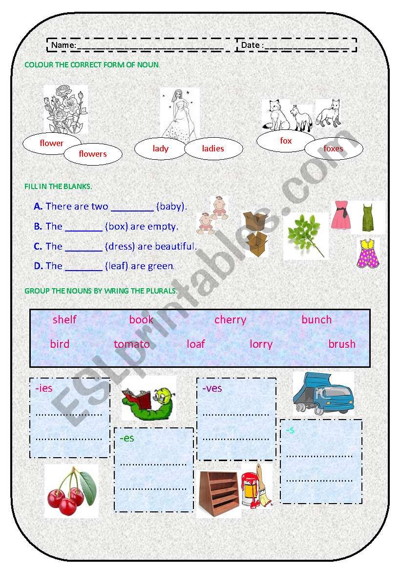 sigular and plural nouns worksheet