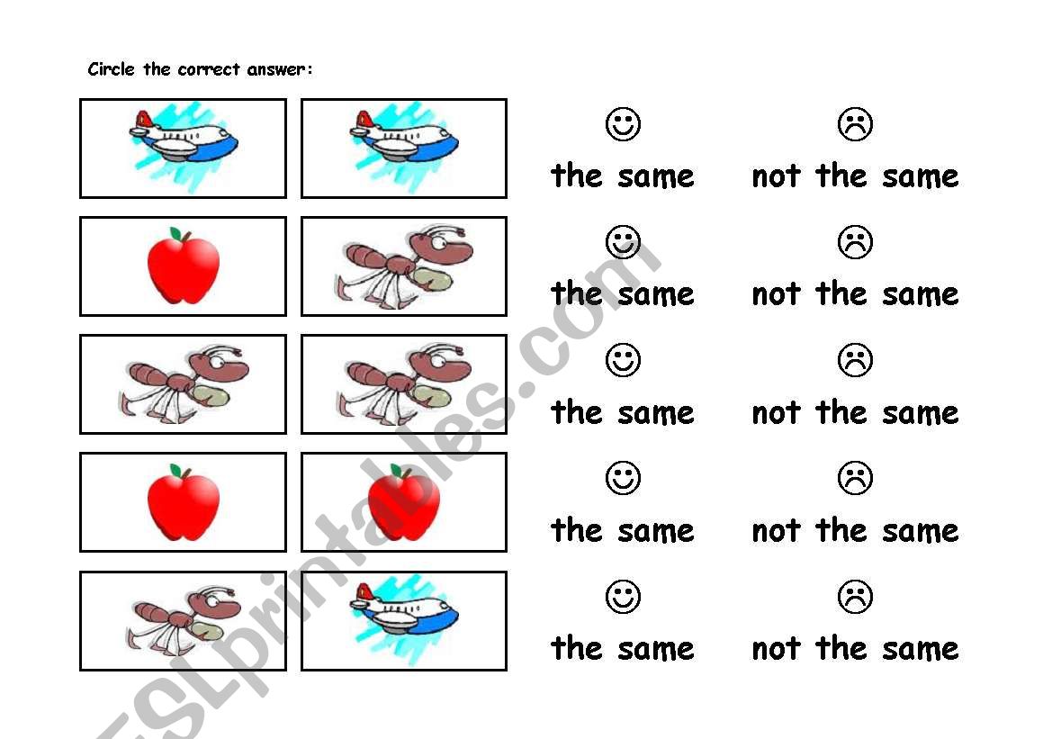 SAME or NOT THE SAME worksheet