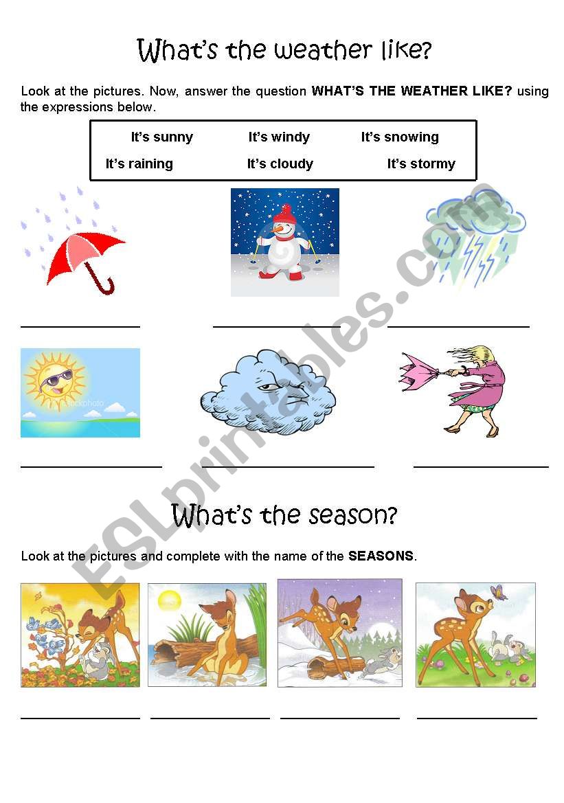 Whats the weather like? worksheet