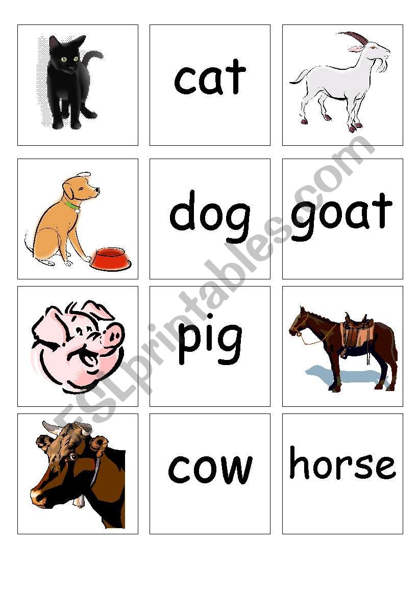 Animal memory game + worksheet
