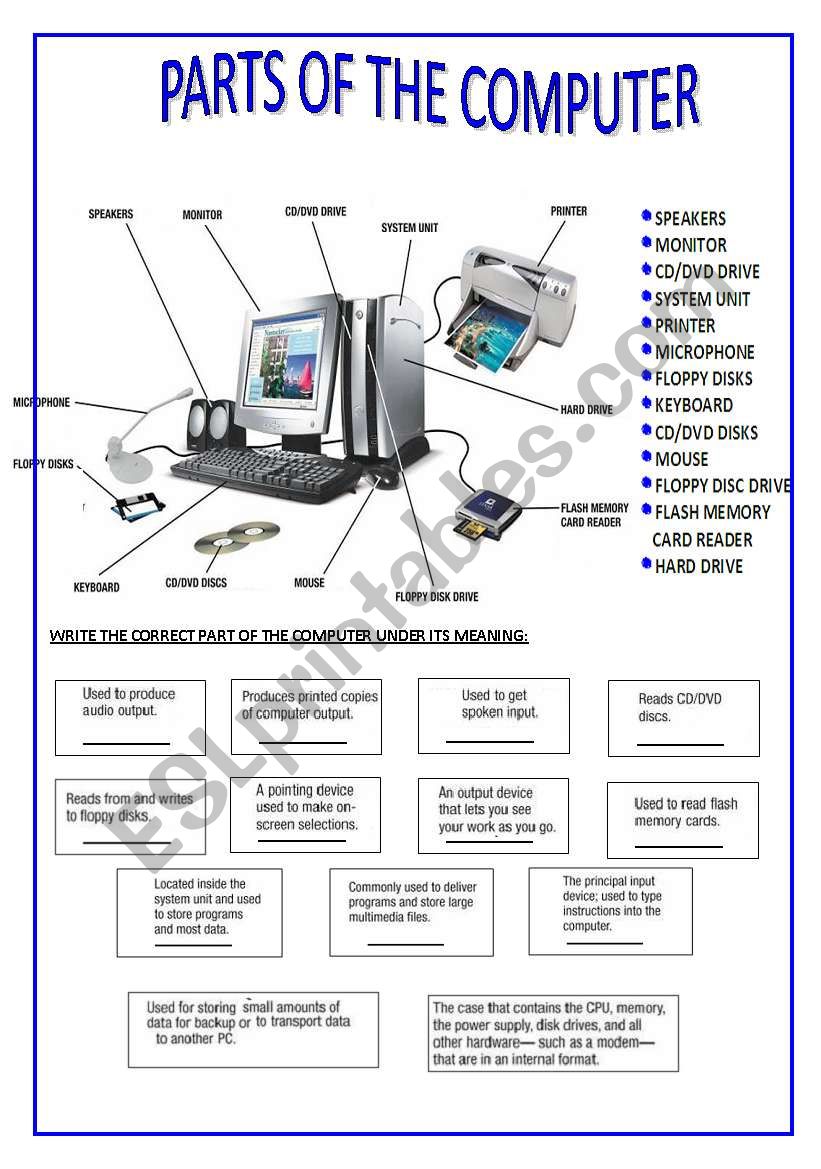 PARTS OF THE COMPUTER worksheet