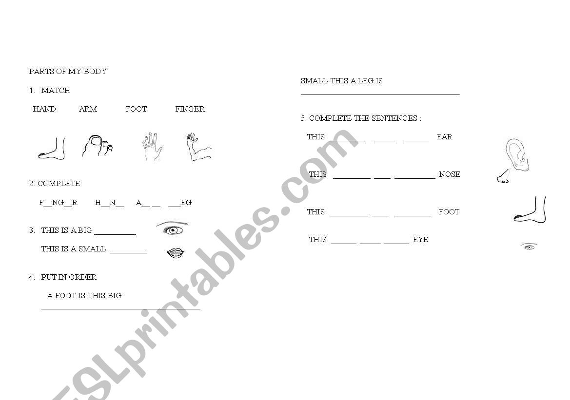 parts of the body worksheet