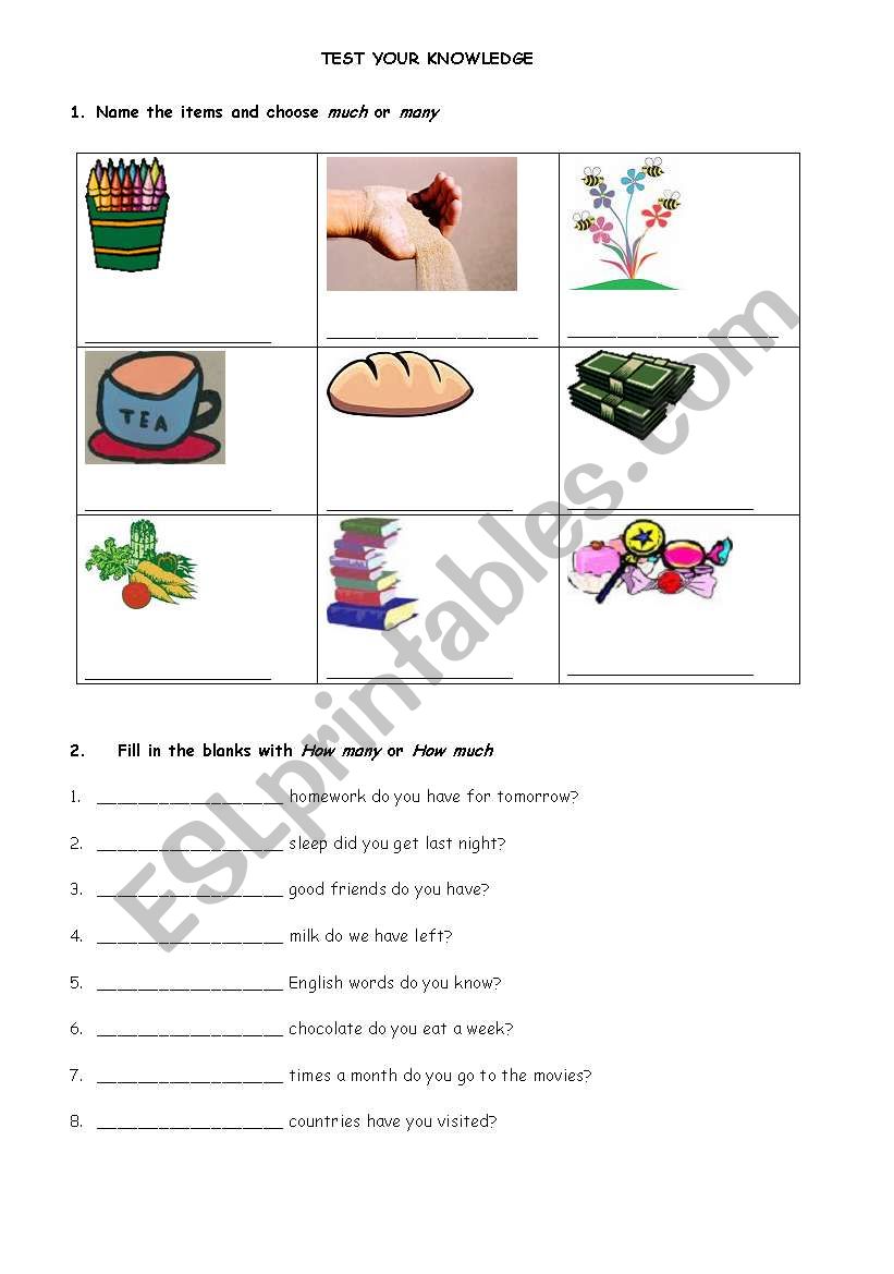 Much/ Many Quiz worksheet