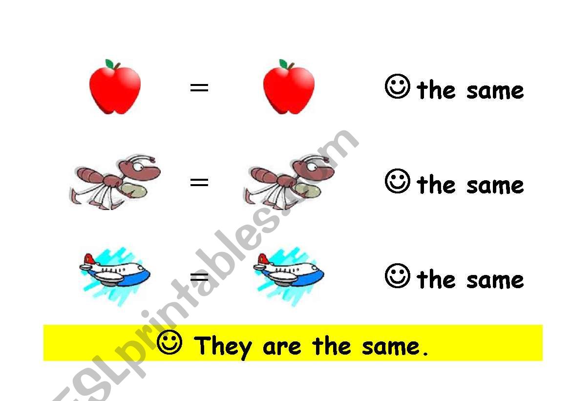 SAME or NOT THE SAME  worksheet