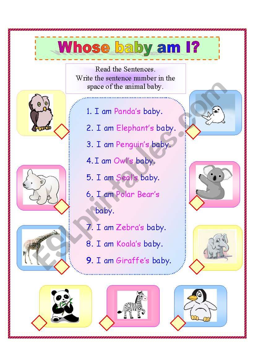 Whose Baby Am I? worksheet