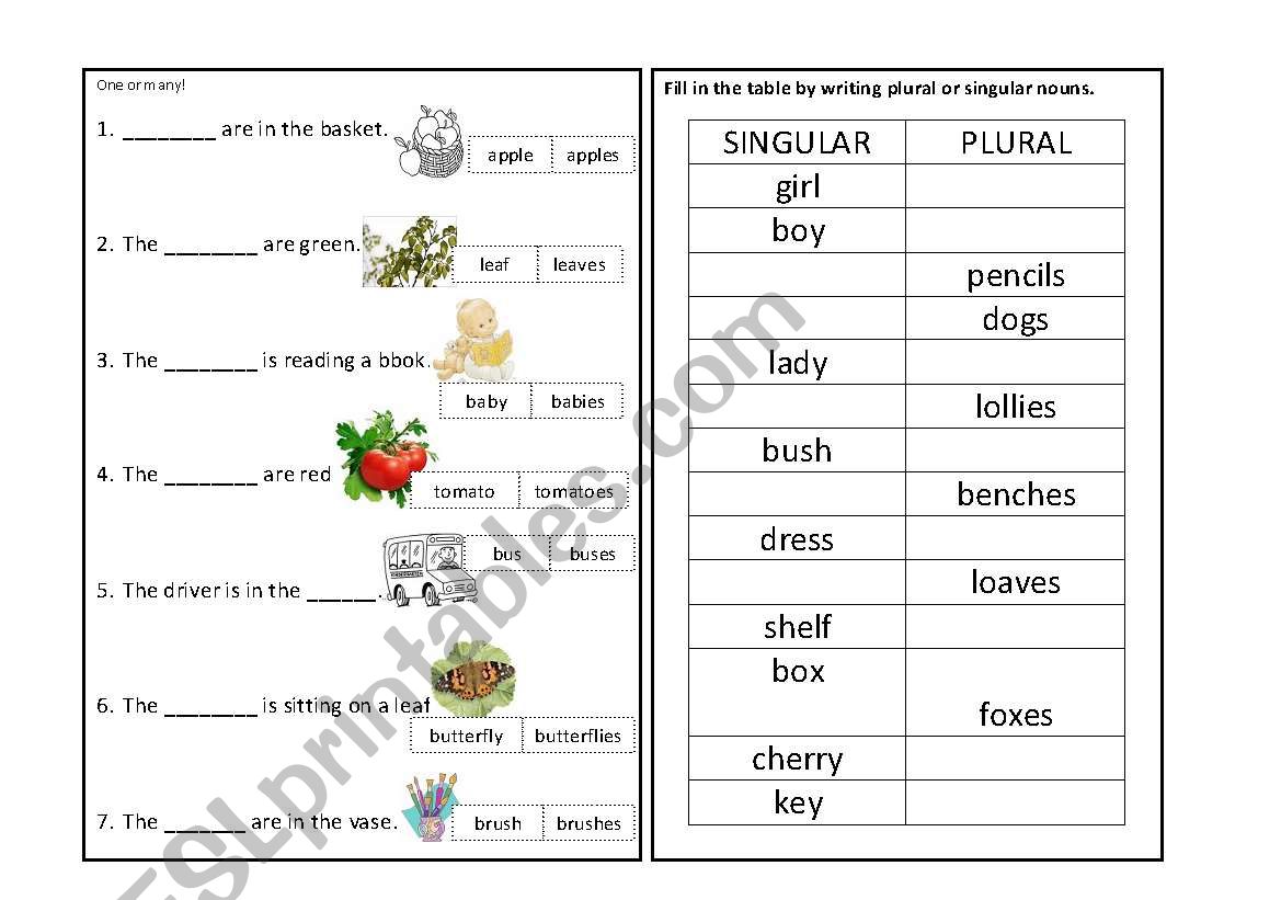 singular and plural nouns worksheet