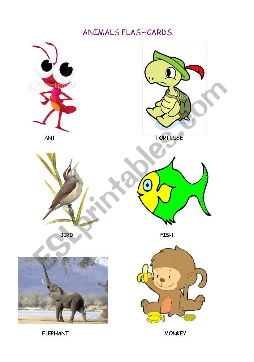 ANIMAL VOCABULARY - 2 pages worksheet