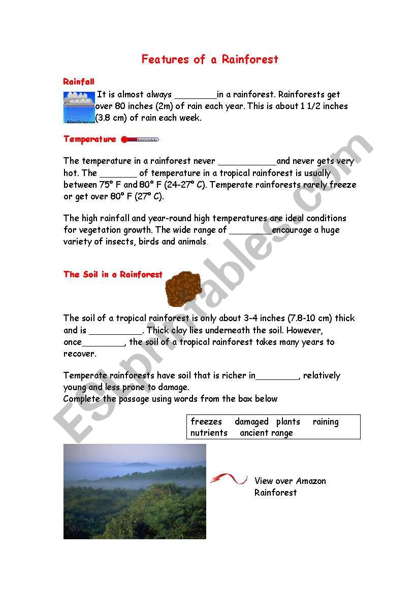 Features of a Rainforest - clozed procedure