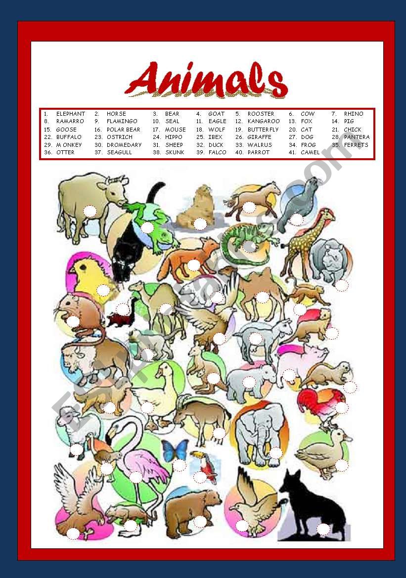 Animals  worksheet