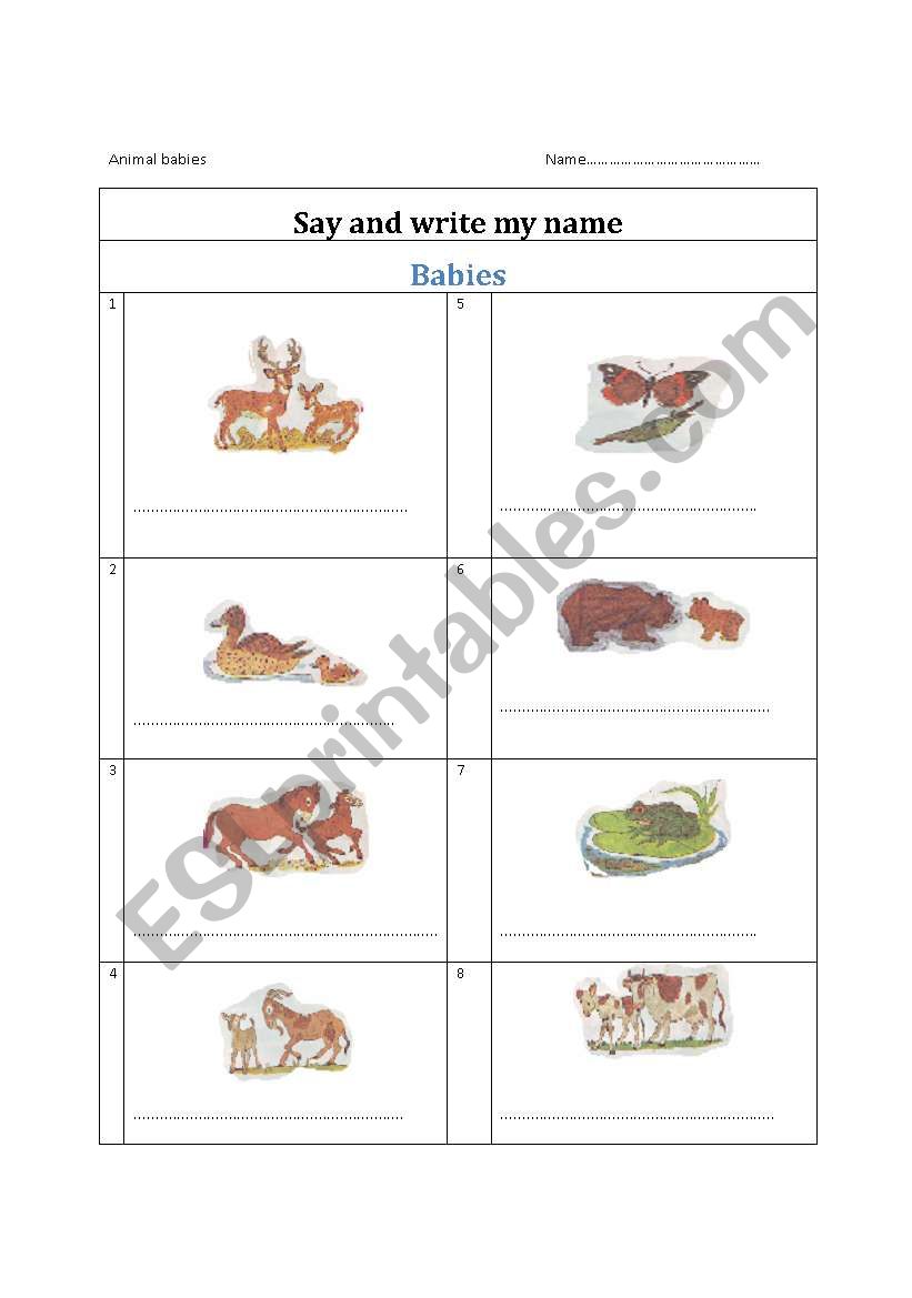 Animal baby worksheet