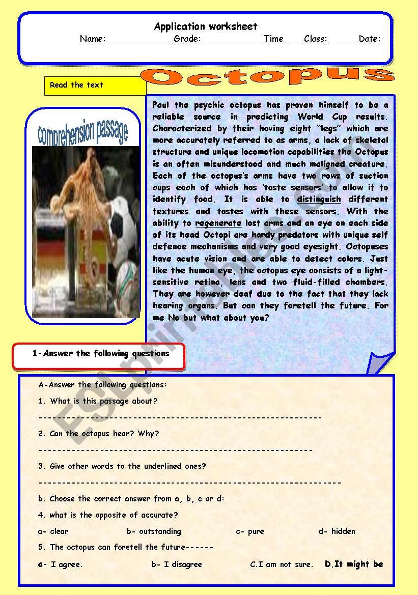 Paul the octopus worksheet