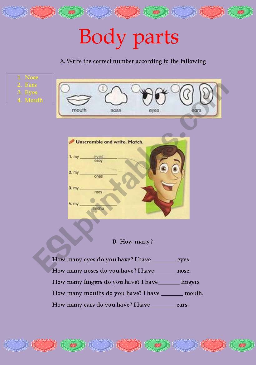 body parts worksheet