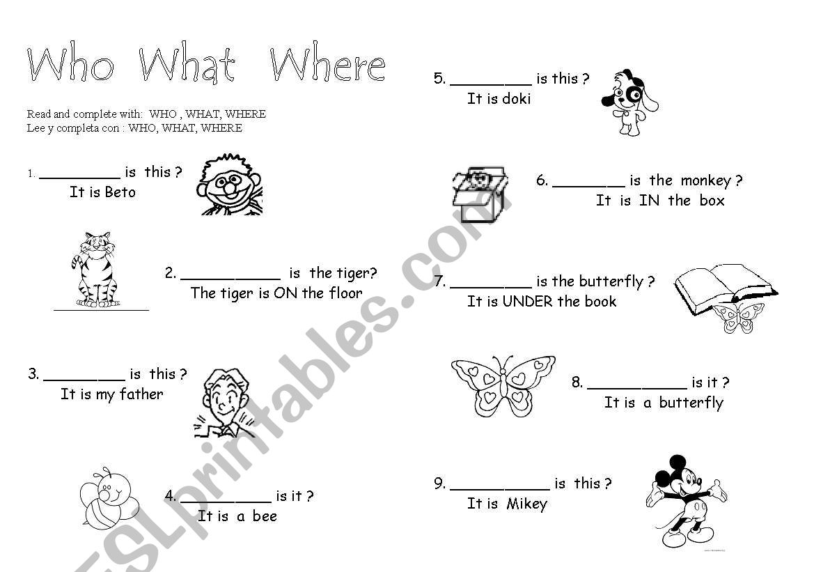 Who, What, Where-questions worksheet