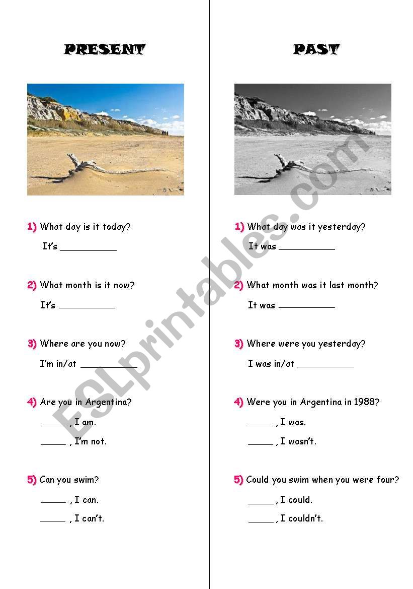 Present and Past worksheet