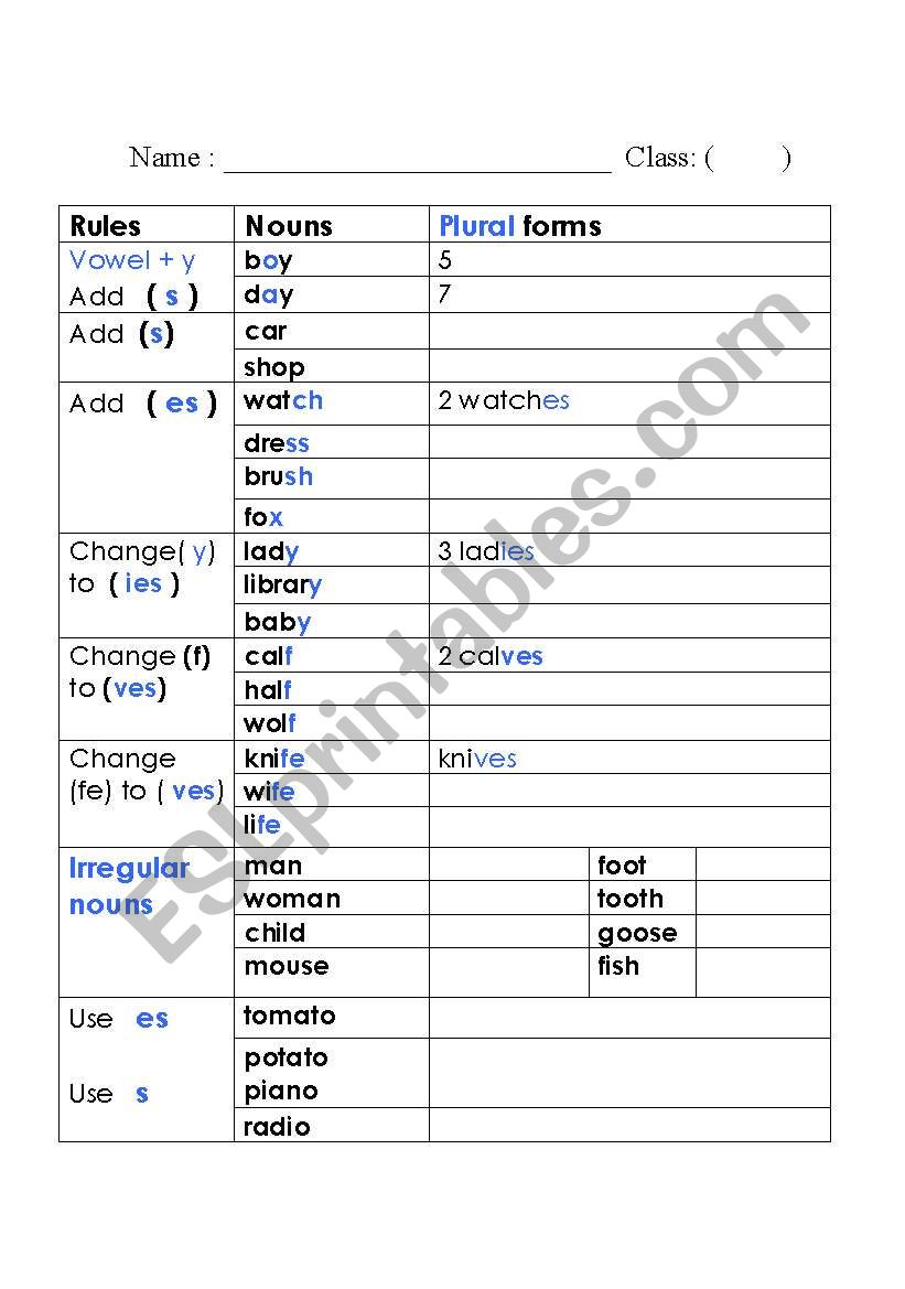 plural forms worksheet