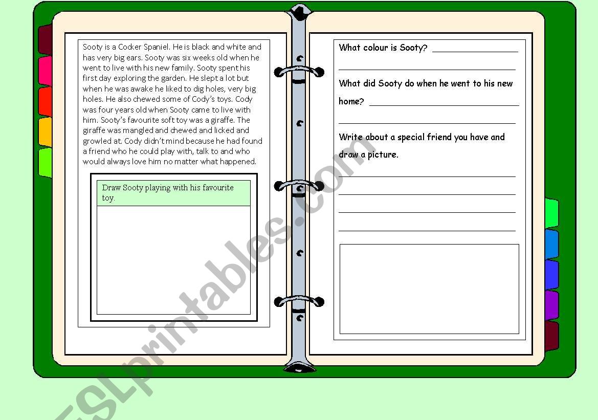 Sooty worksheet