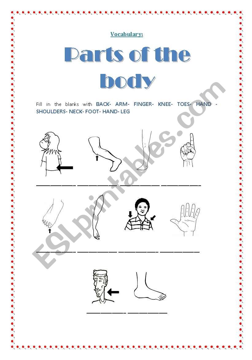Parts of the body worksheet