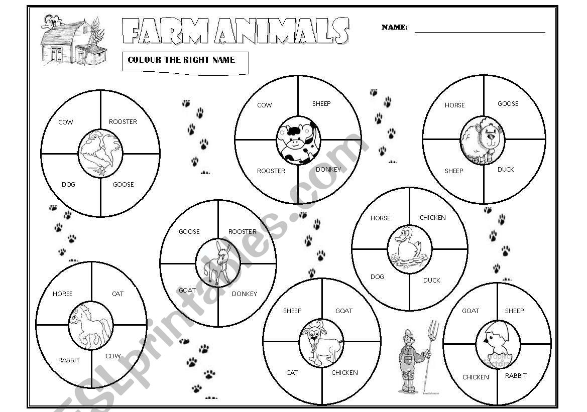 Farm Animals worksheet