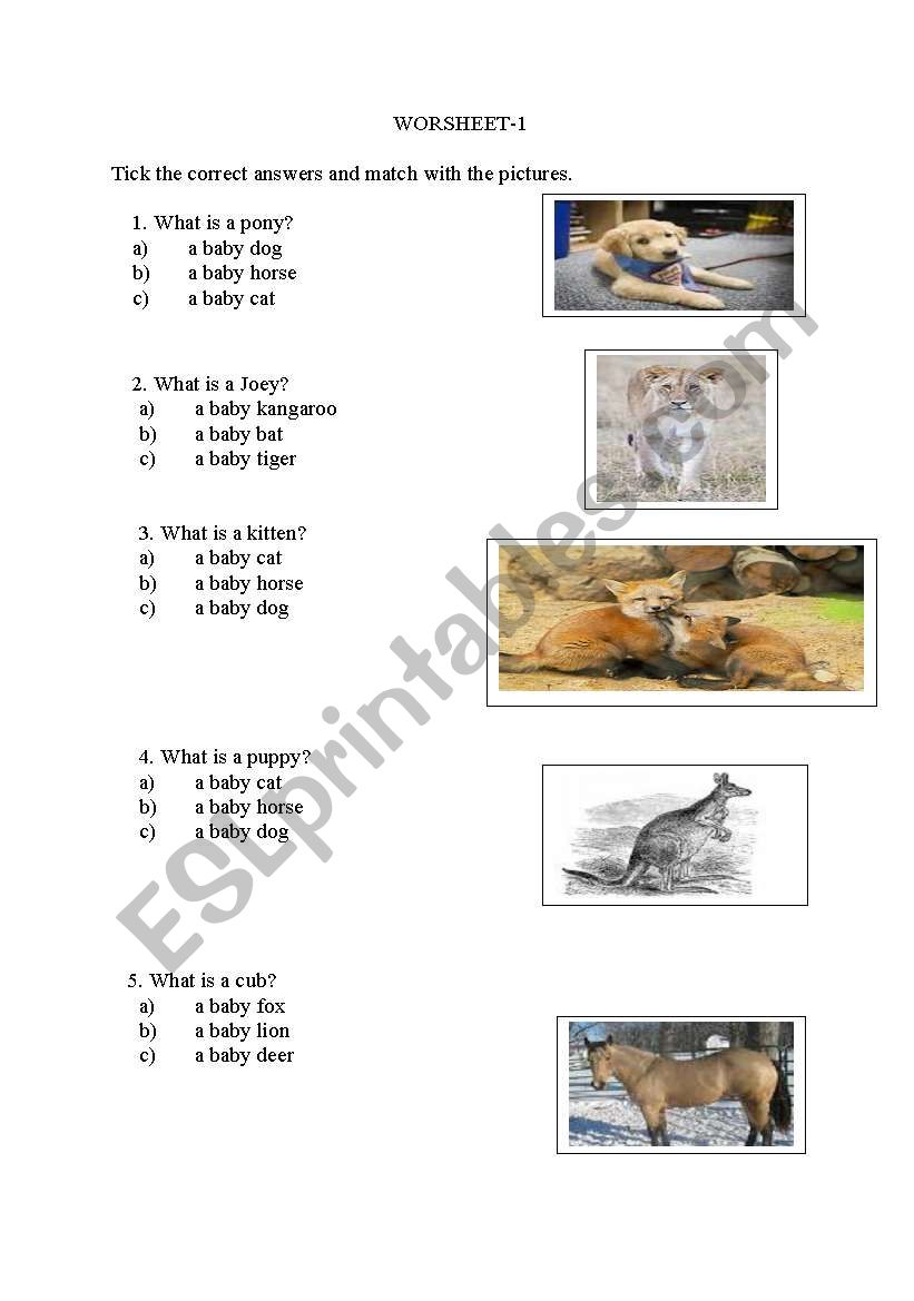 animals worksheet