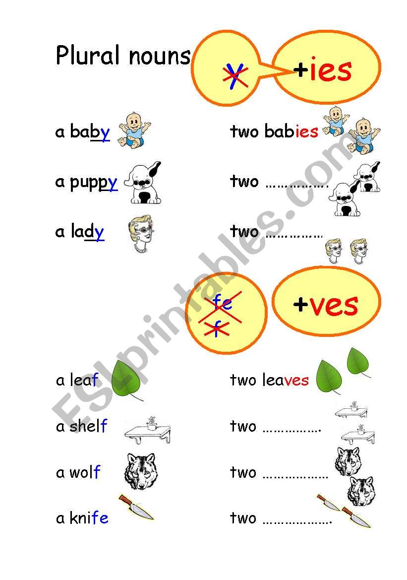 Plural nouns +ies, +ves and irregular nouns
