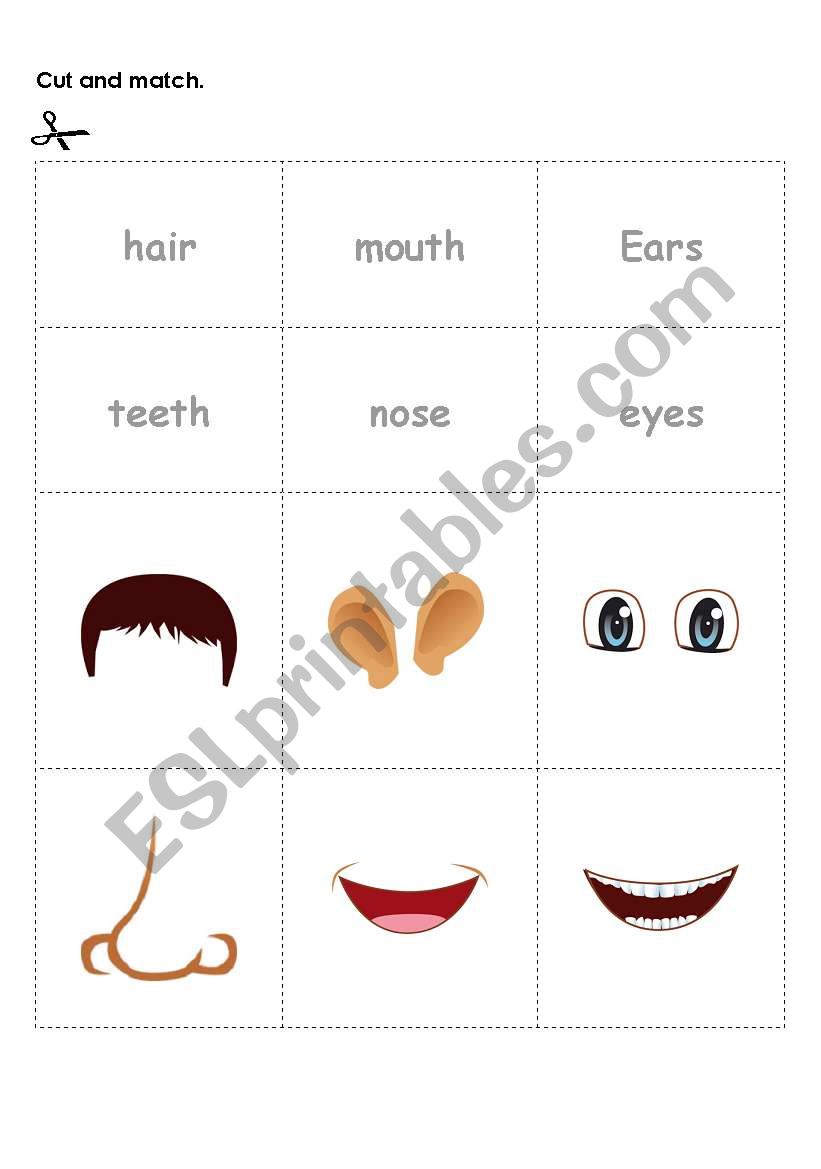 Parts of the body worksheet