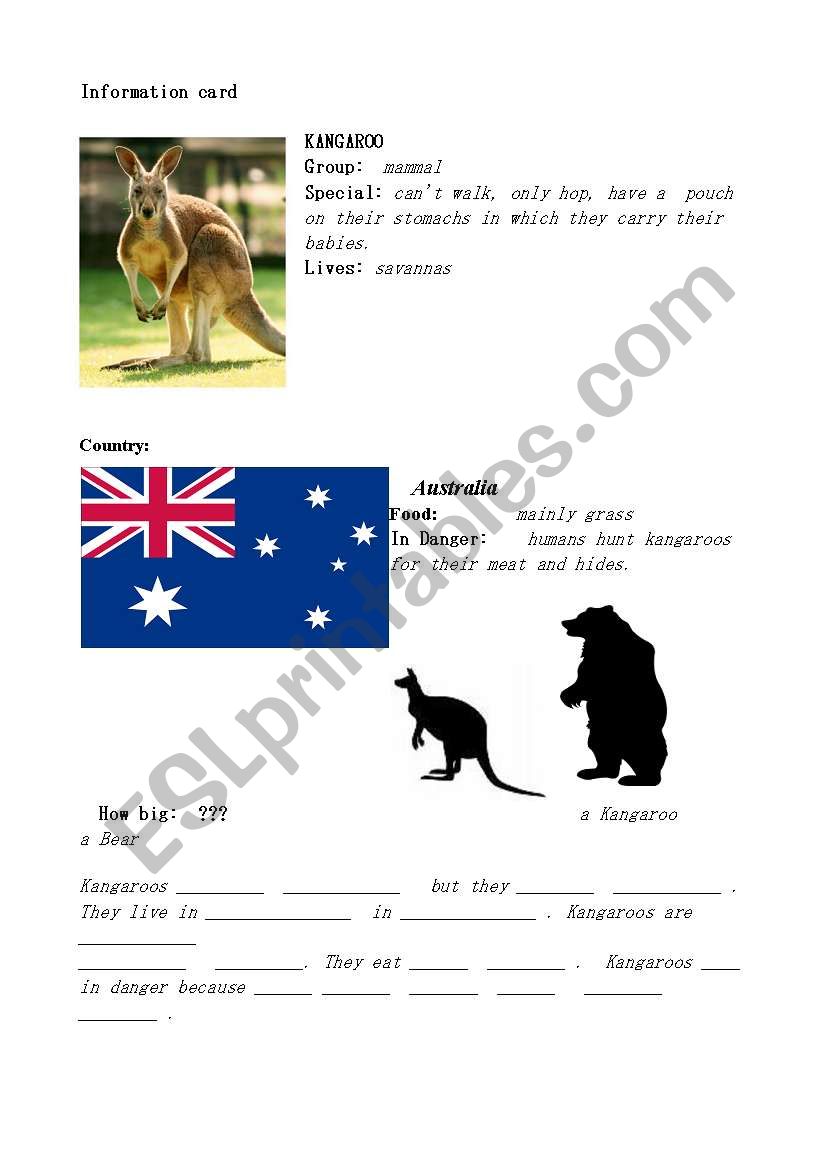 Kangaroo worksheet