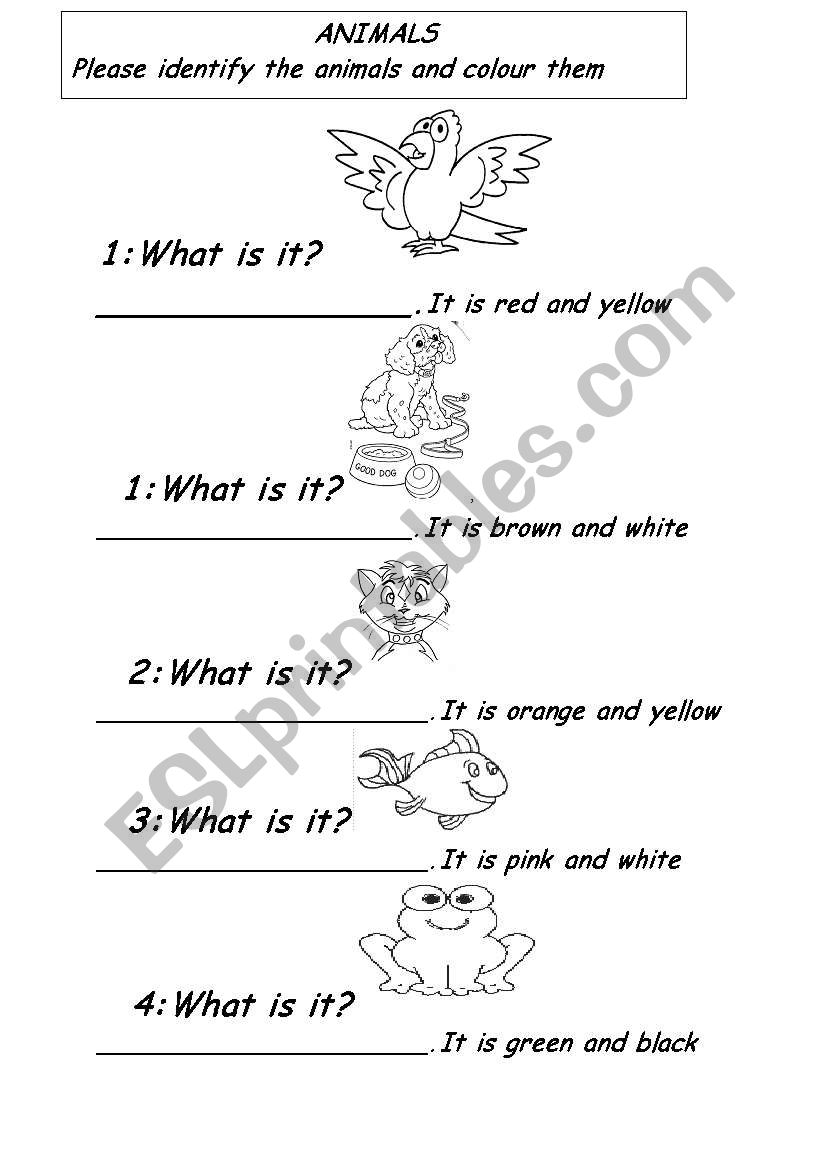 ANIMALS & COLORS worksheet