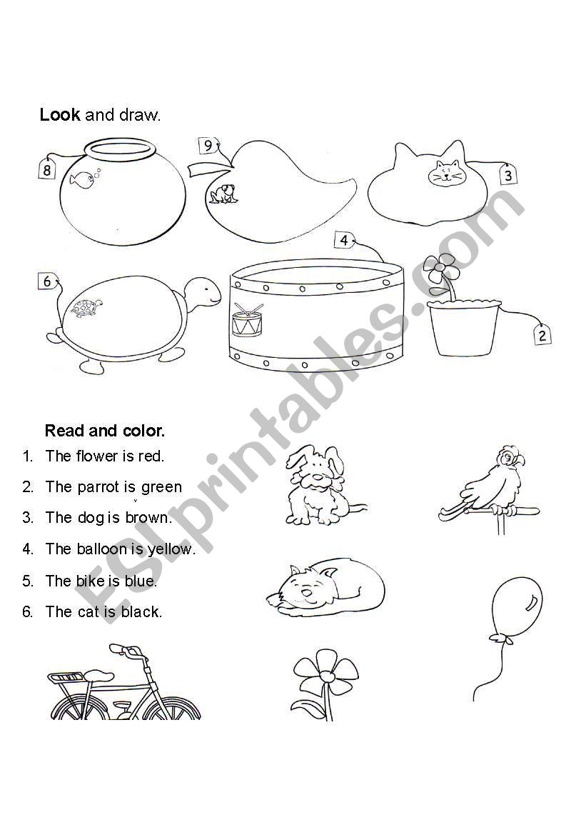 numbers and colors worksheet