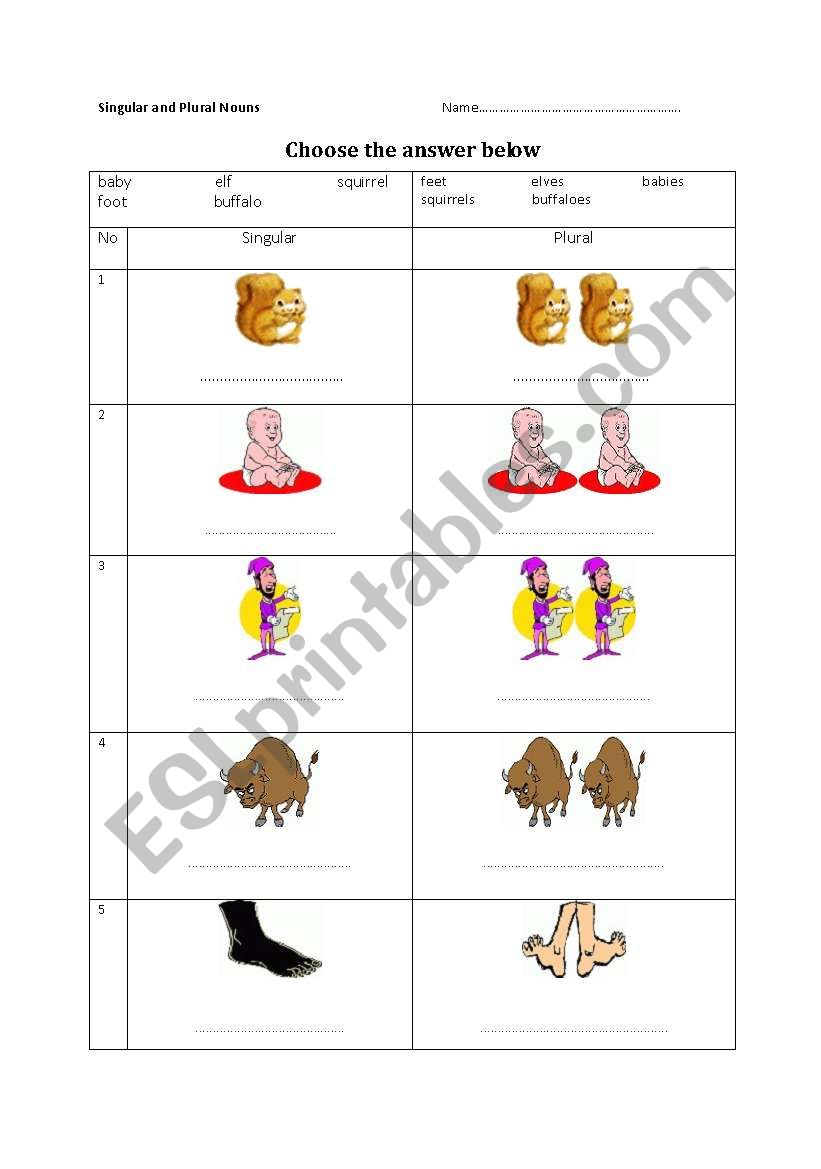 Plural and Singular worksheet