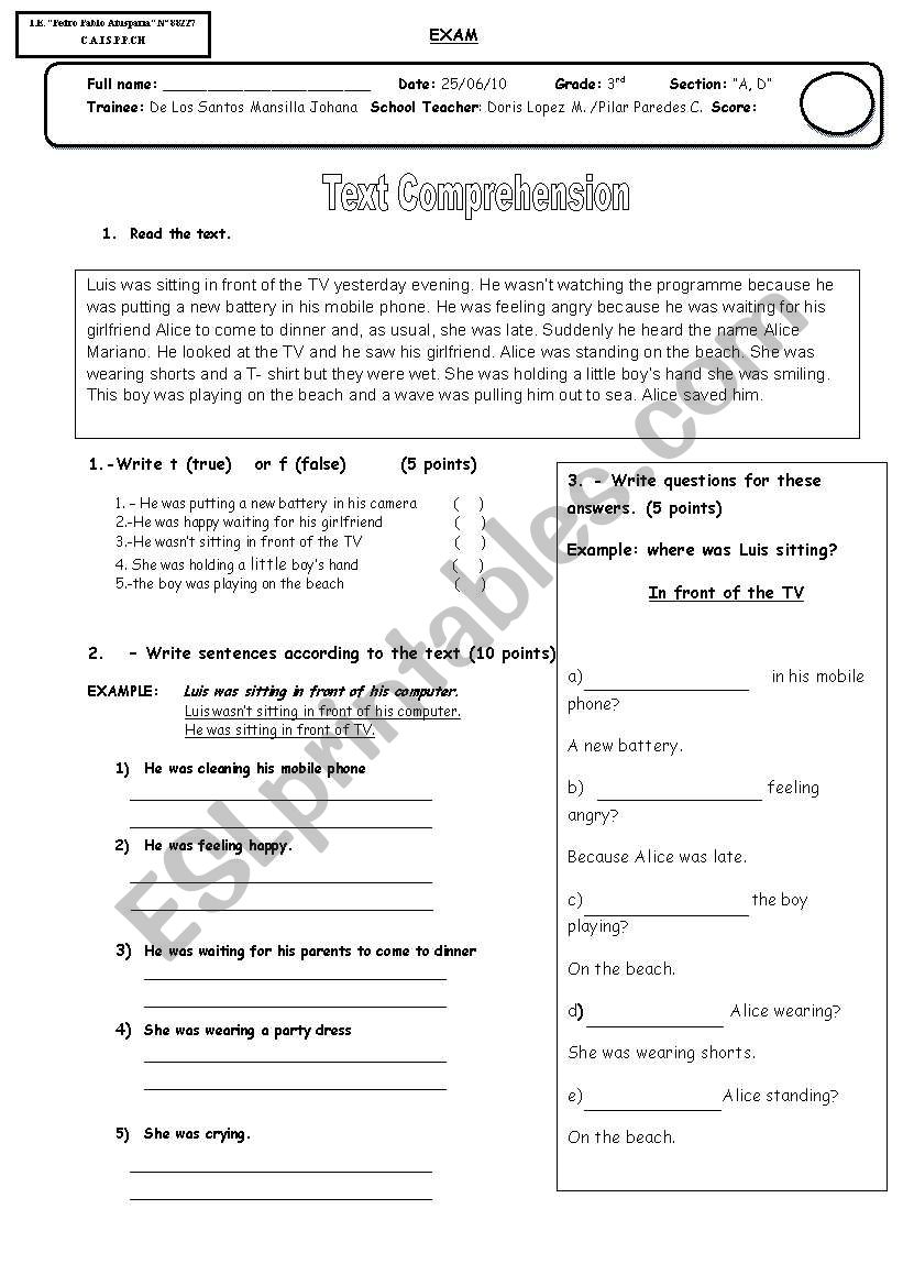 text comprehension worksheet