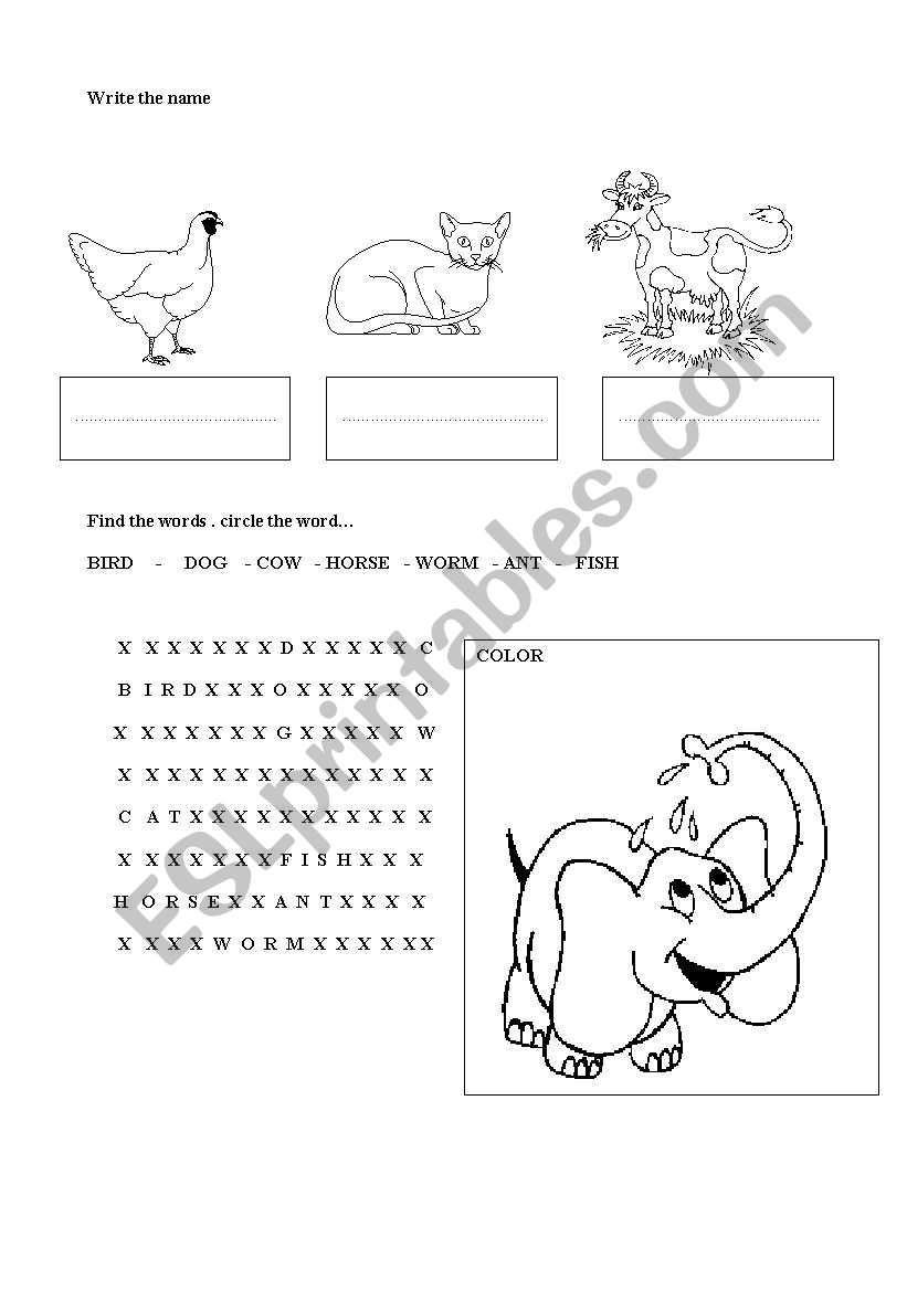 write the name of the animal worksheet