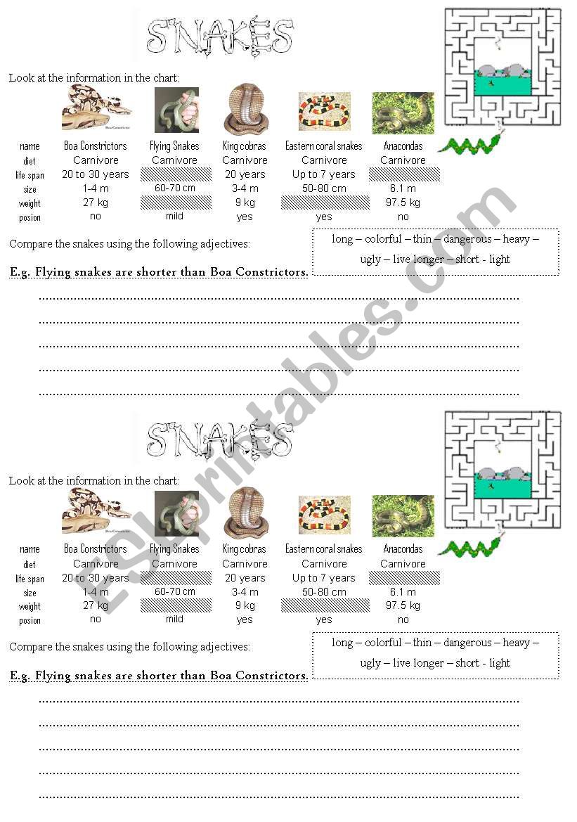 Comparing Snakes worksheet