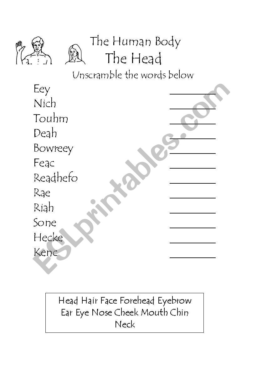 The Human body - The head 2b worksheet