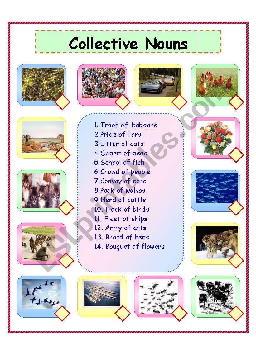 Collective Nouns worksheet