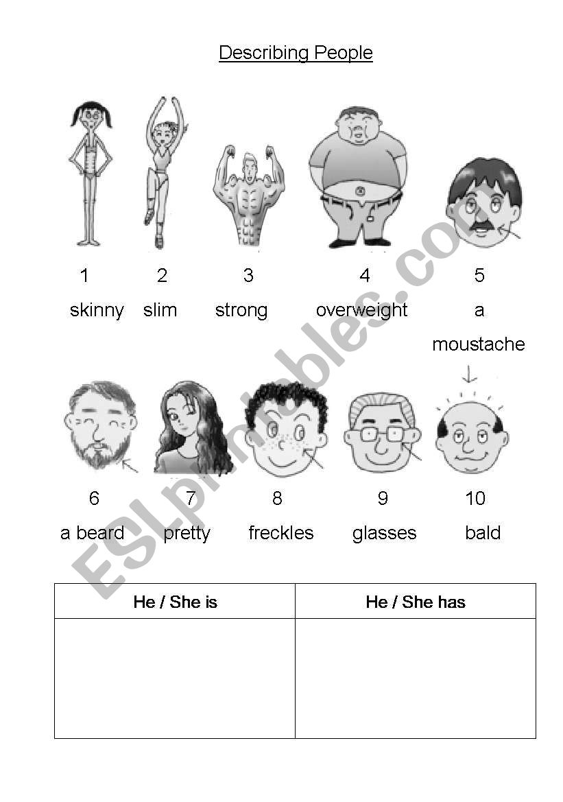 Describe physical appearance worksheet