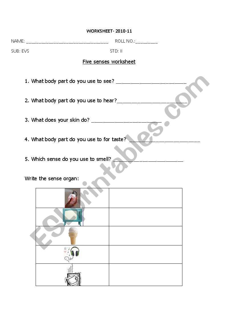 Sense organs worksheet