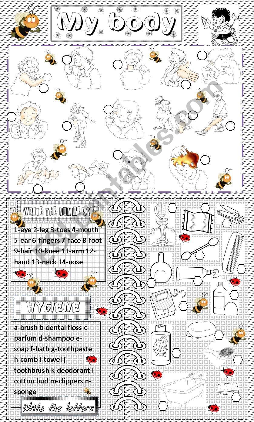 My body and hygiene. worksheet