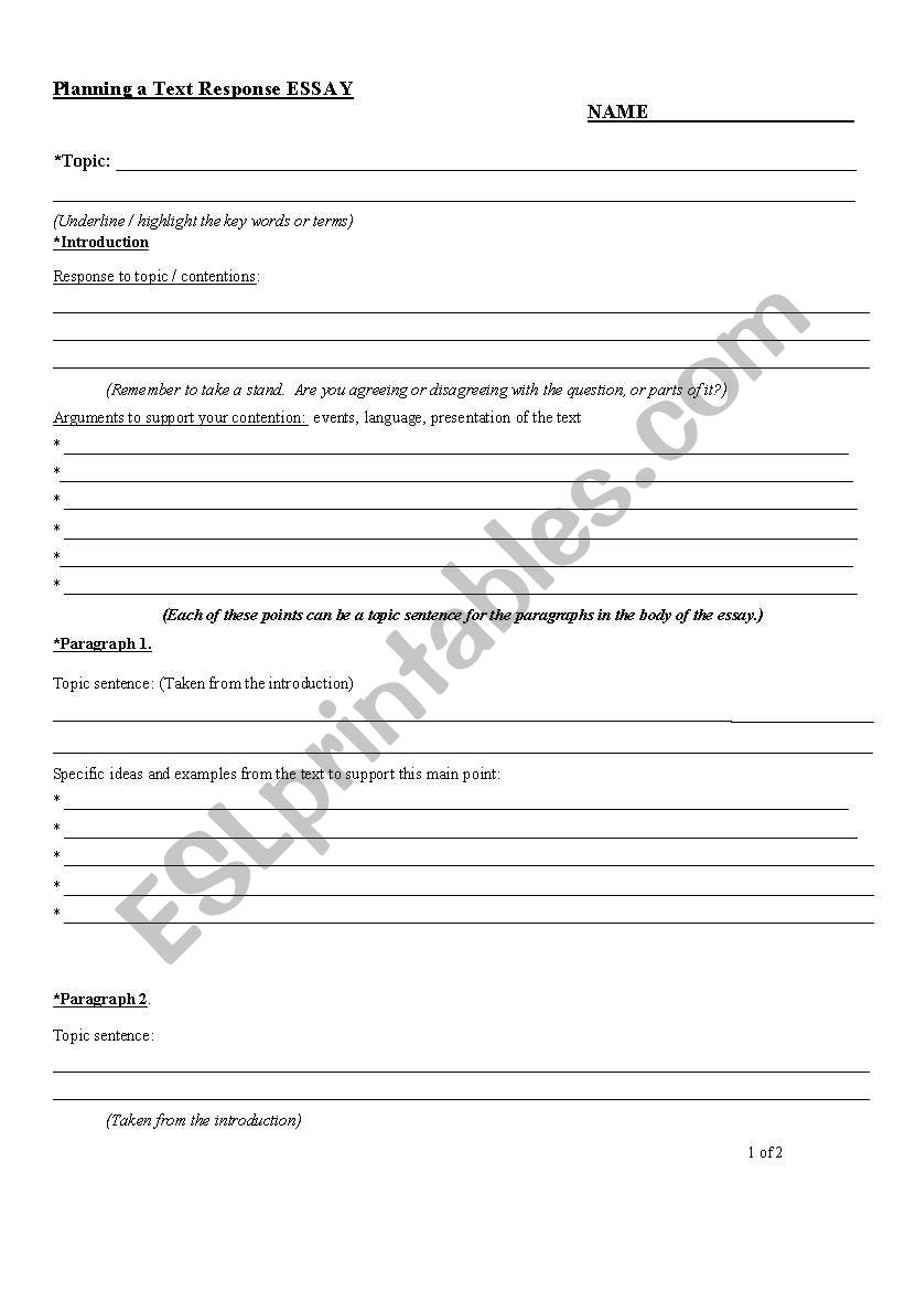 ESSAY PLANNING SHEET worksheet