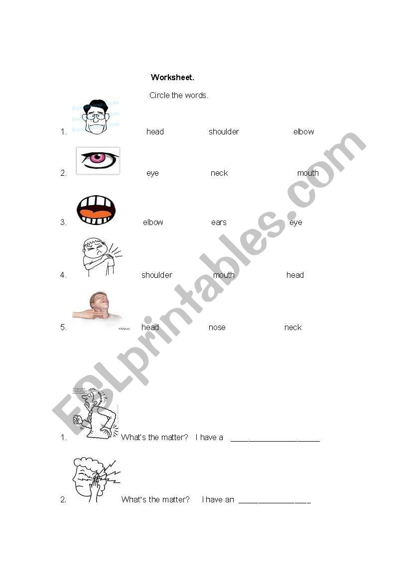 Body parts worksheet