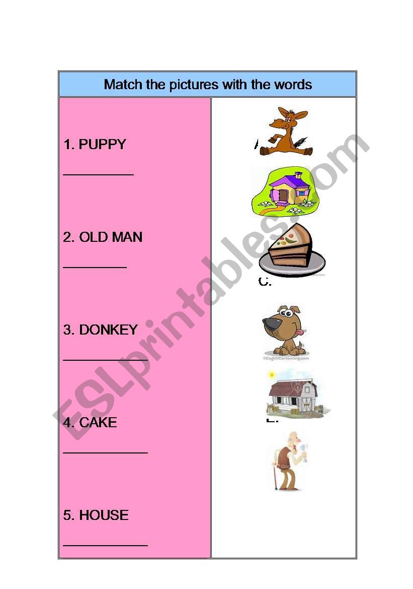 The story  of animals worksheet