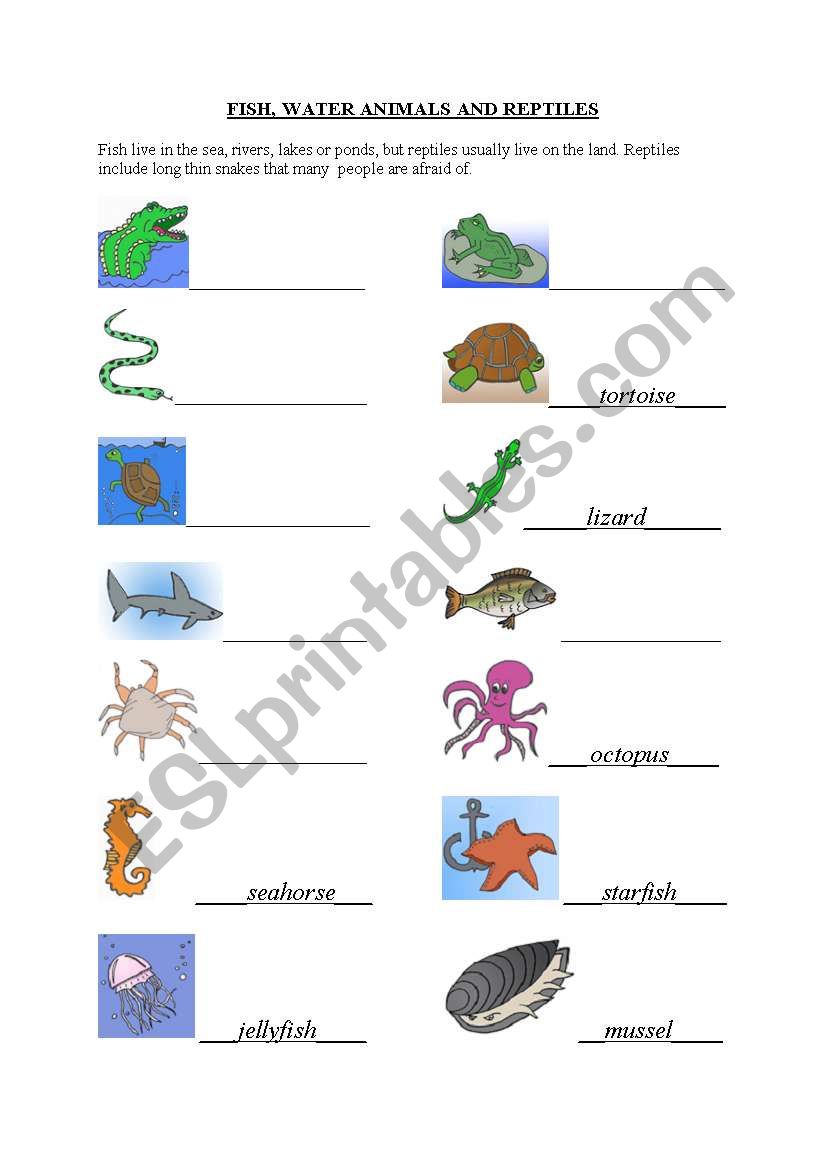 Water animals, reptiles, fish worksheet