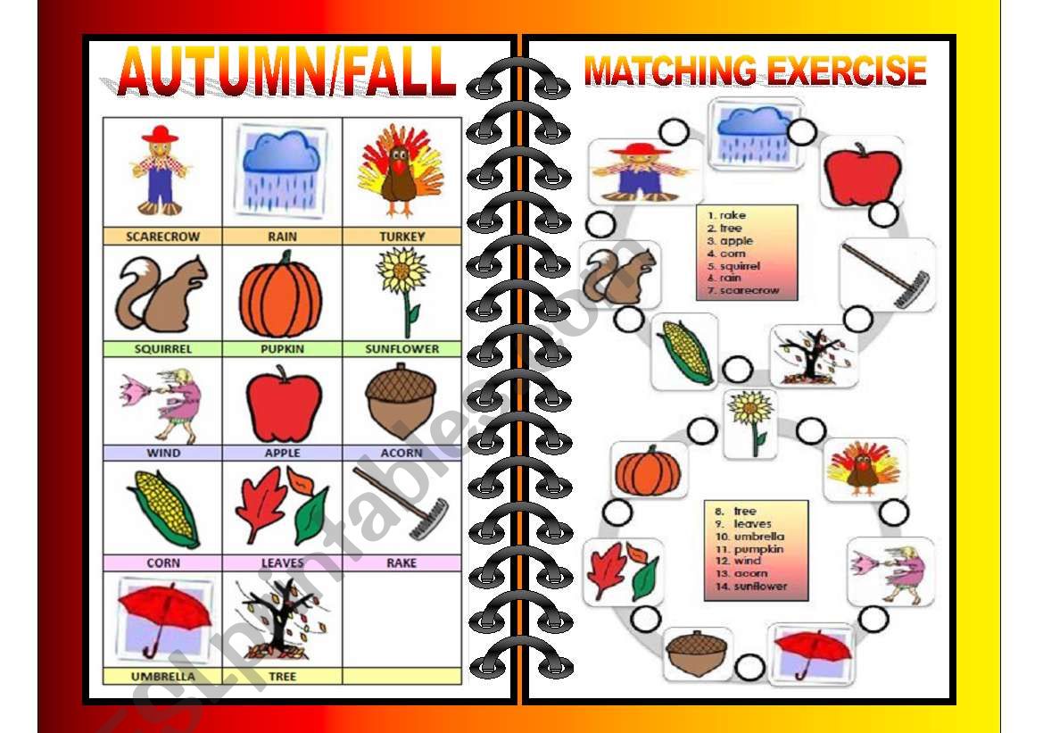 SEASONS PICTIONARY AND MATCHING ALL-IN-ONE (FALL/AUTUMN) 2/4